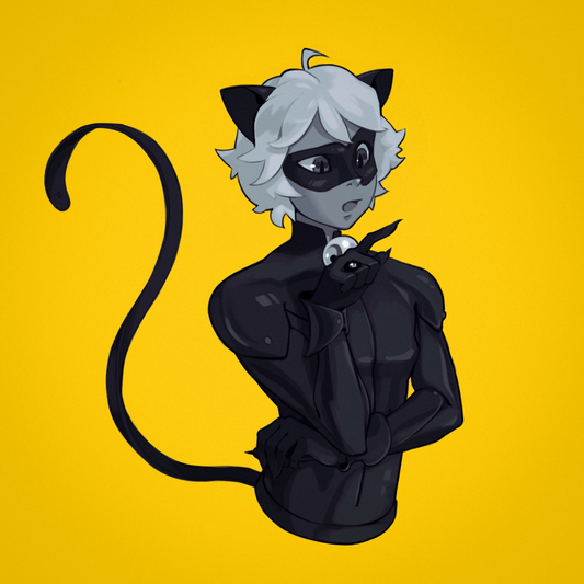 Cat Noir| A5 Square | Miraculous Ladybug