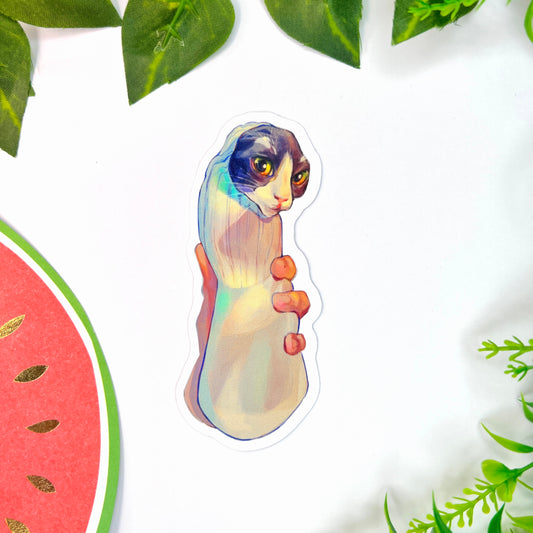 Sock Cat | 10.5 x 4.5 cm |Gloss Vinyl Sticker